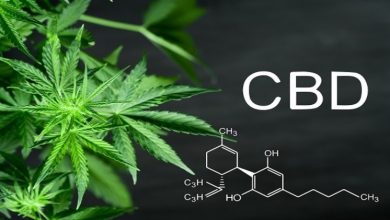 Photo of What products does CBD have for local pain?