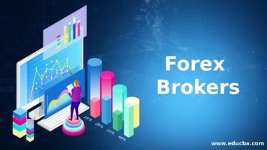 Photo of Choose The Best Forex Broker For Your Trading Currency—But How To Choose?